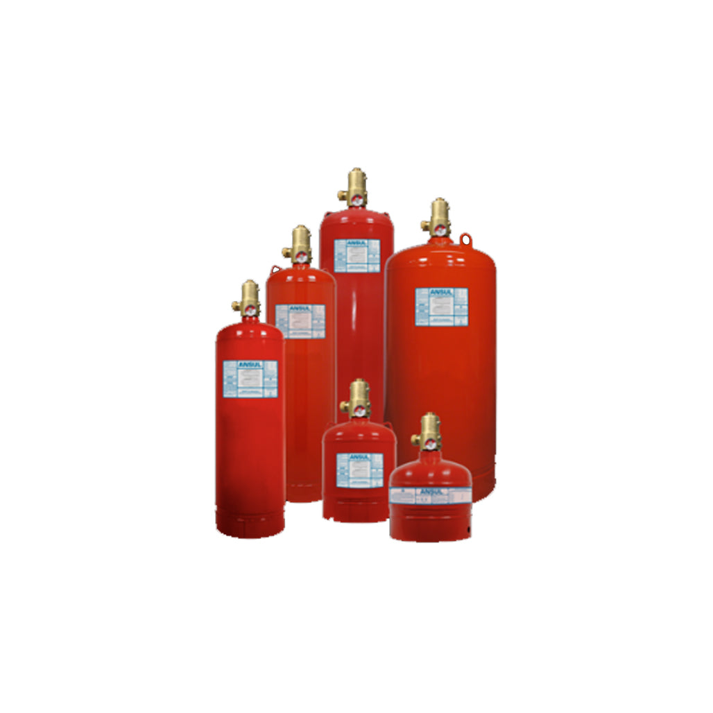 FM 200 Clean Agent System